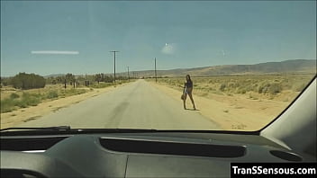 Transsexual hitchhiker fucked in the ass